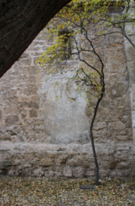 Fig. 9. Oquedad tapiada con apariencia de ventana.