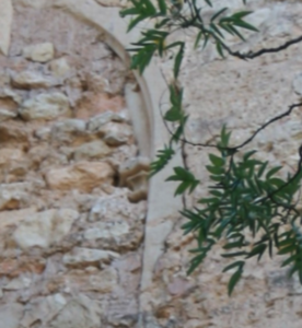 Fig. 7. Detalle de capitel dentado