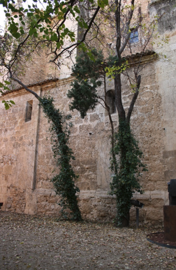Fig. 1. Muro de mampostería.